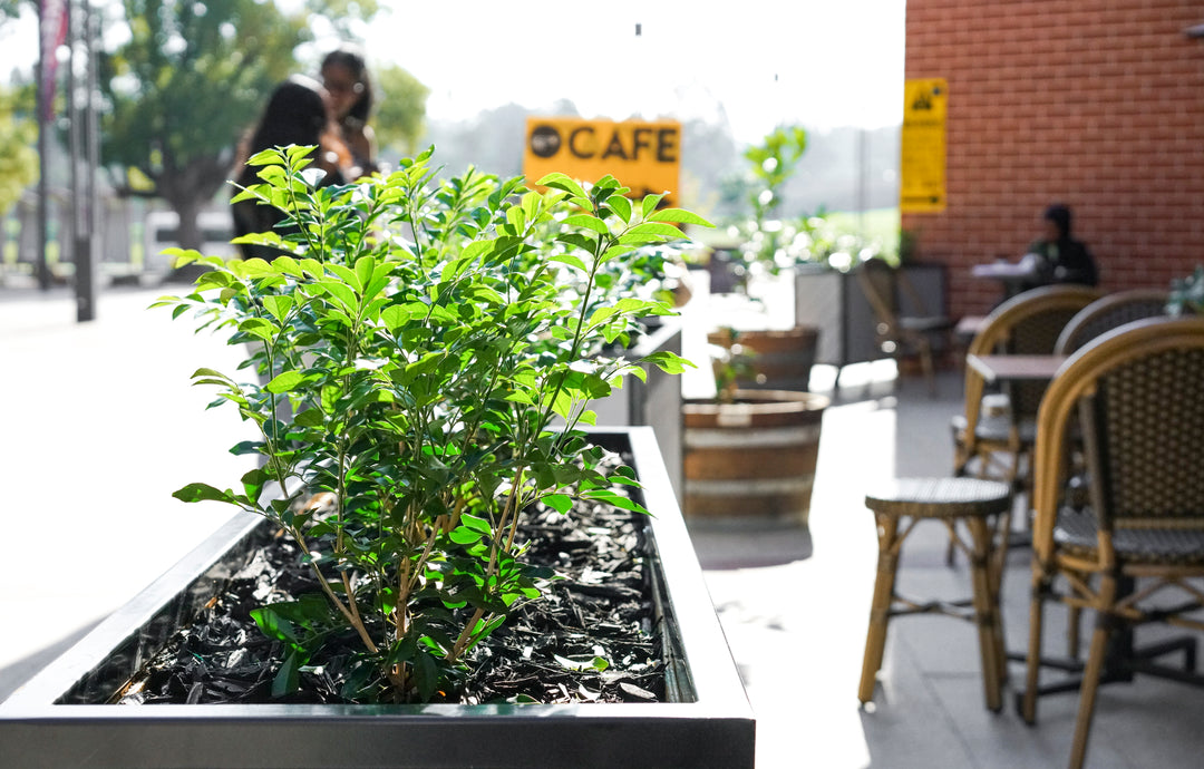 Does your café have what it takes for a bumper outdoor dining season?