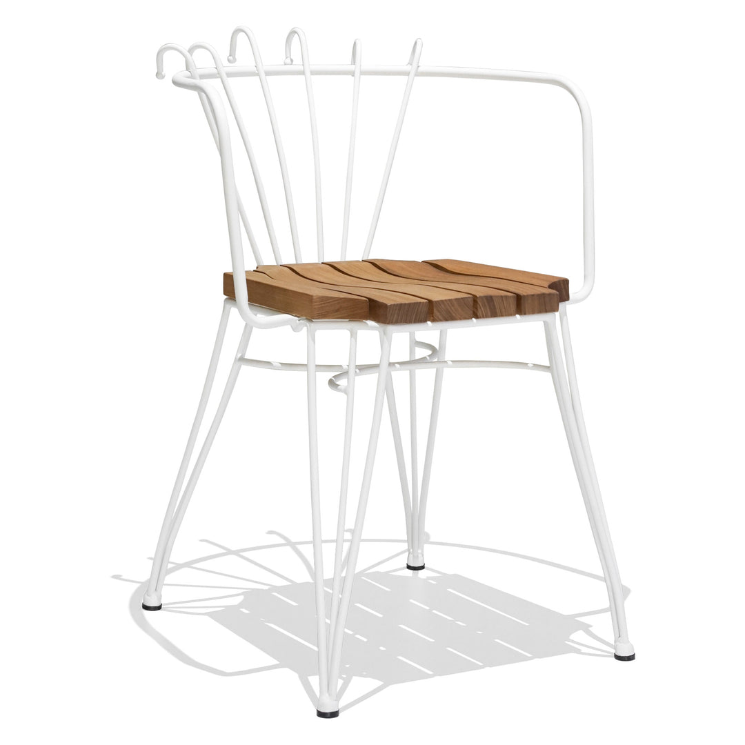 Collaroy Dining Chair