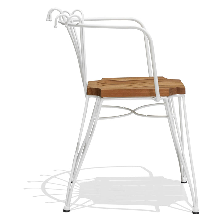 Collaroy Dining Chair