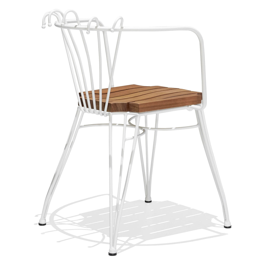 Collaroy Dining Chair