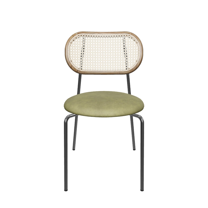 Chippendale Chair