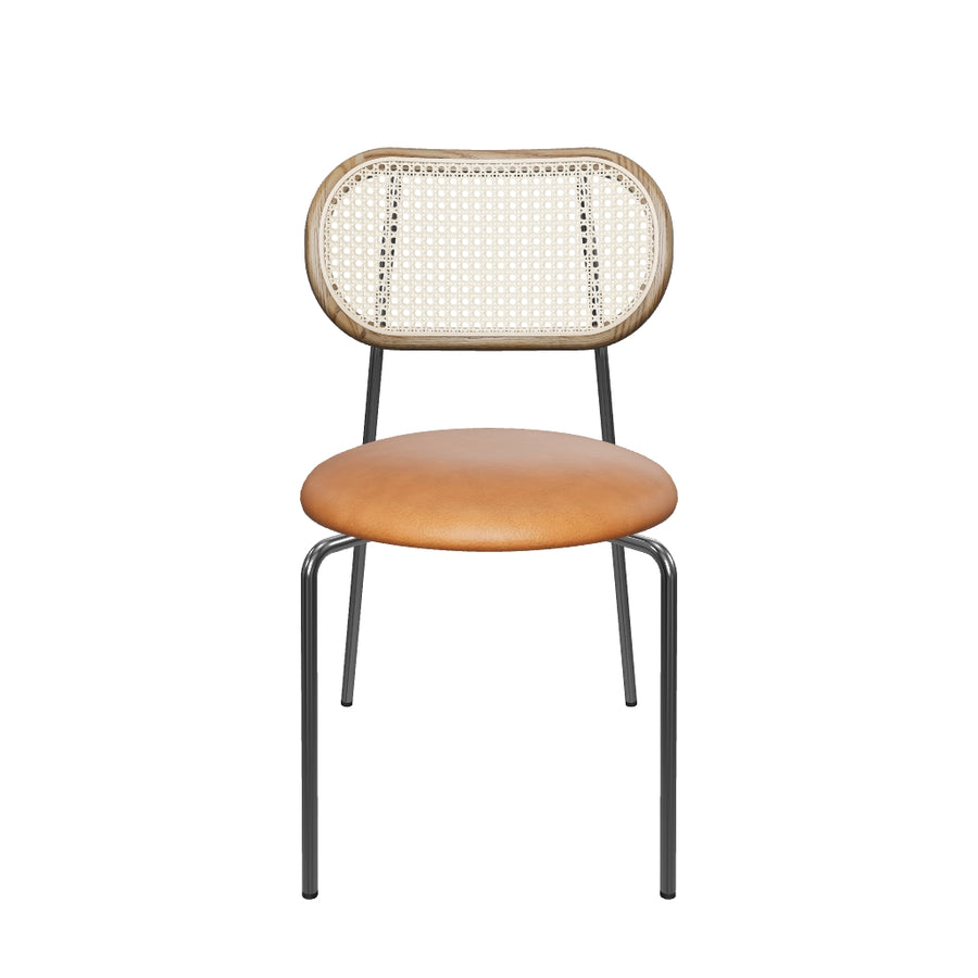 Chippendale Chair