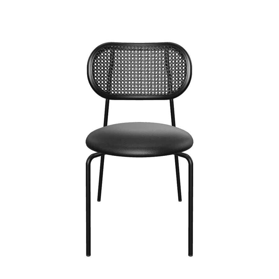 Chippendale Chair